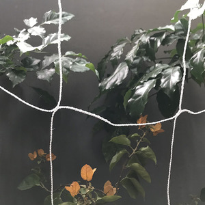 Impianto di Supporto 5 'x 15' Traliccio Compensazione 6 "Della Maglia Giardino Netto - Product Image 3