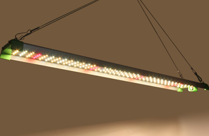 High Power 800W/1000W <strong>LED</strong> Grow for Light Full Spectrum for Quantum Independent Control Waterproof IP Rating LM281B 301B - Product Image 3