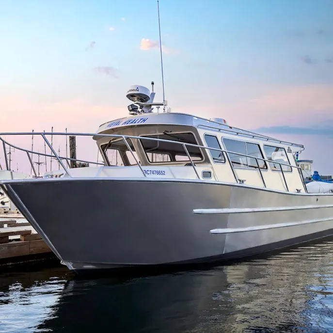 2023 Novo Design De Luxo De Alumínio Cabin Boat Factory Direto Atacado De Alta Qualidade Entretenimento Ao Ar Livre Popular América Austrália