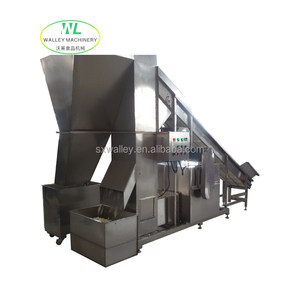 Máquina de clasificación de tallo y hojas, equipo de separación de tallo y hojas de frutas y verduras personalizado - Product Image 3