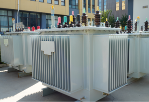 Di alta qualità 50-60Hz elettrico rinoceronte trifase olio immerso toroidale all'aperto trasformatore multiplo di uscita 400v MV & HV trasformatori - Product Image 4