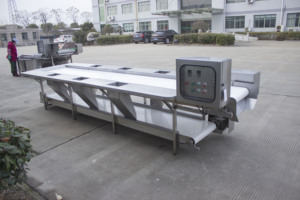 SS304优质蔬菜水果加工选择拣选台输送机分选机新型输送带