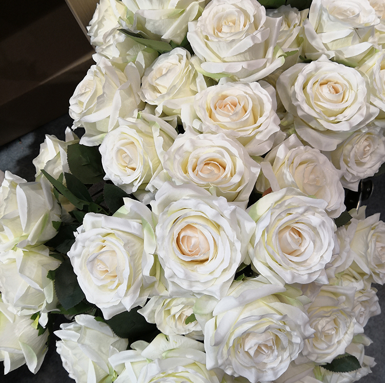 cream white