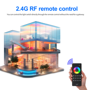 Новое поступление RF2.4G Черный пульт дистанционного управления с несколькими RGB светодиодный контроллер для светодиодной лампы с 3-летней гарантией - Product Image 4