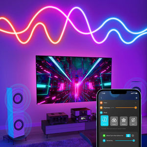 Wifi SMD <strong>5050</strong> RGB <strong>LED</strong> Strip Light 24V 36W IP65 Smart Tuya APP Control Smart Neon Strip Light With Power Adapter - Product Image 4