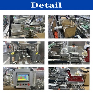 单张仅新到货托盘纸箱竖立器折叠密封纸箱小型包装机 - Product Image 2