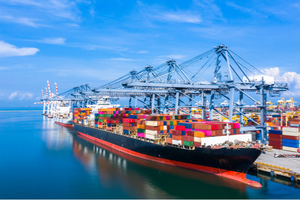 FCL Shipping Sea Shipping Agent Freight Forrder LCL Service <strong>Bulk</strong> Cargo <strong>Ship</strong> From Shanghai Ningbo to USA Direct 20GP 40HC 40HQ - Product Image 6