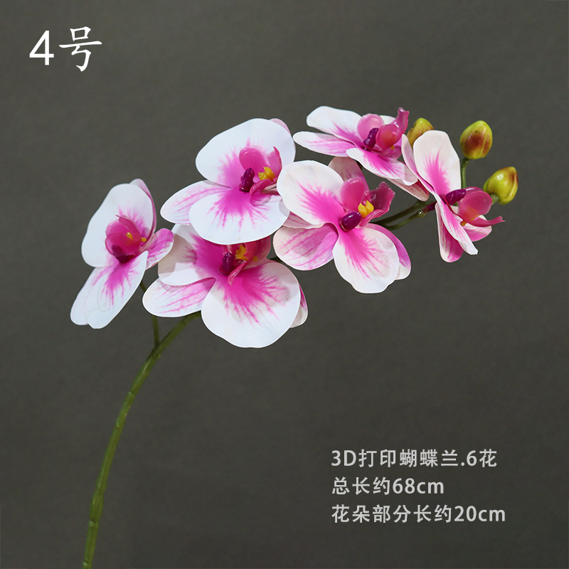 No. 4
