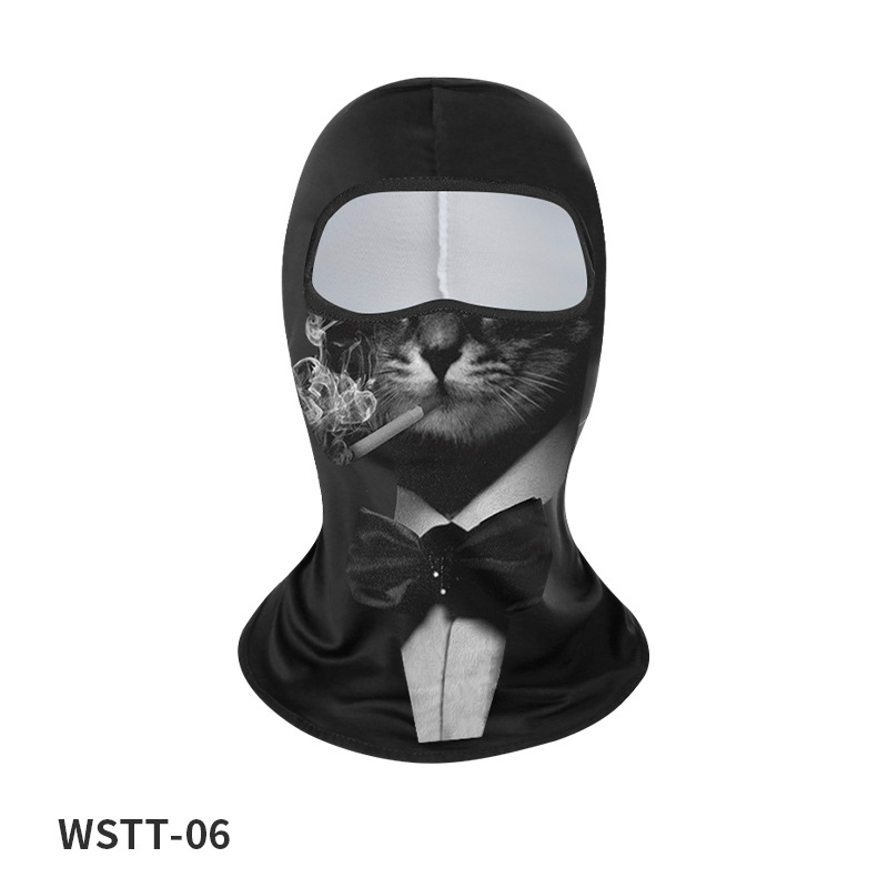 WSTT-06