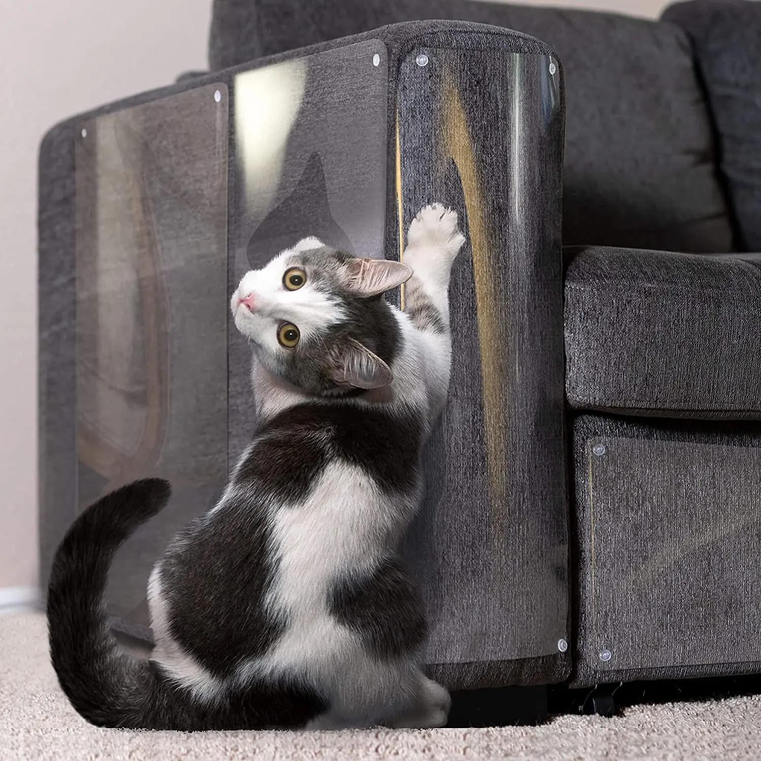 Campione gratuito scudi incredibili protezioni per mobili di grandi dimensioni nastro adesivo per gatti nastro adesivo antigraffio