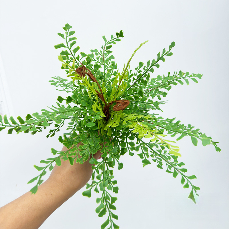 Feuille de Ginkgo vert