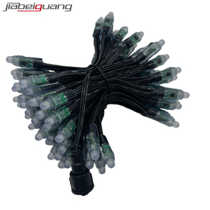 12V Ledピクセルライト12mmフルカラーWs2811ブラックワイヤー防水コネクタLedピクセルストリング - Product Image 2