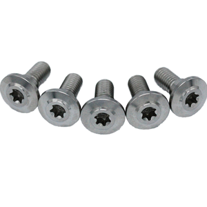 Yüksek kaliteli M8 titanyum Torx cıvata Premium sınıf metrik ölçüm sistemi ile 5 motosiklet vida - Product Image 2