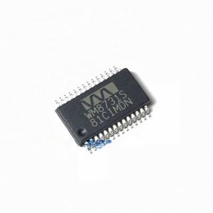 CODEC Audio Internet portatile con Driver per cuffie e tariffe di campionamento programmabili muslimwm8731s WM8731 - Product Image 1