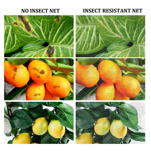 Fruit Tree <strong>Net</strong> for Protect Plant Fruits Netting Mesh with Drawstring <strong>Garden</strong> <strong>Bug</strong> Netting Plant Cover - Product Image 2