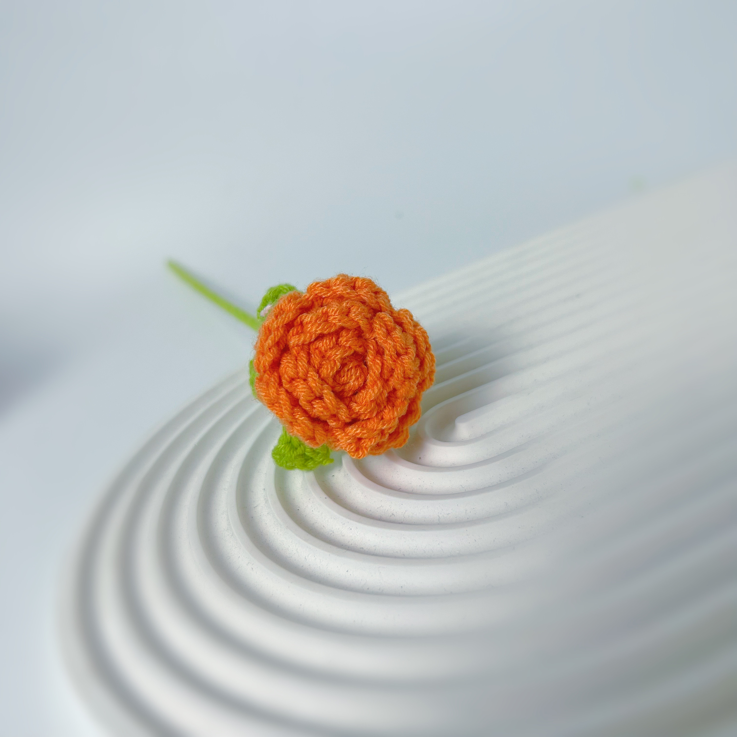 Rose orange