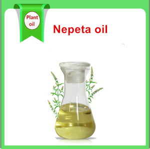 Best Price Wholesale Bulk Nepeta <strong>Catnip</strong> Essential Oil Aromatherapy Scented Body <strong>Use</strong> Raw Material Essential Oil Products - Product Image 2
