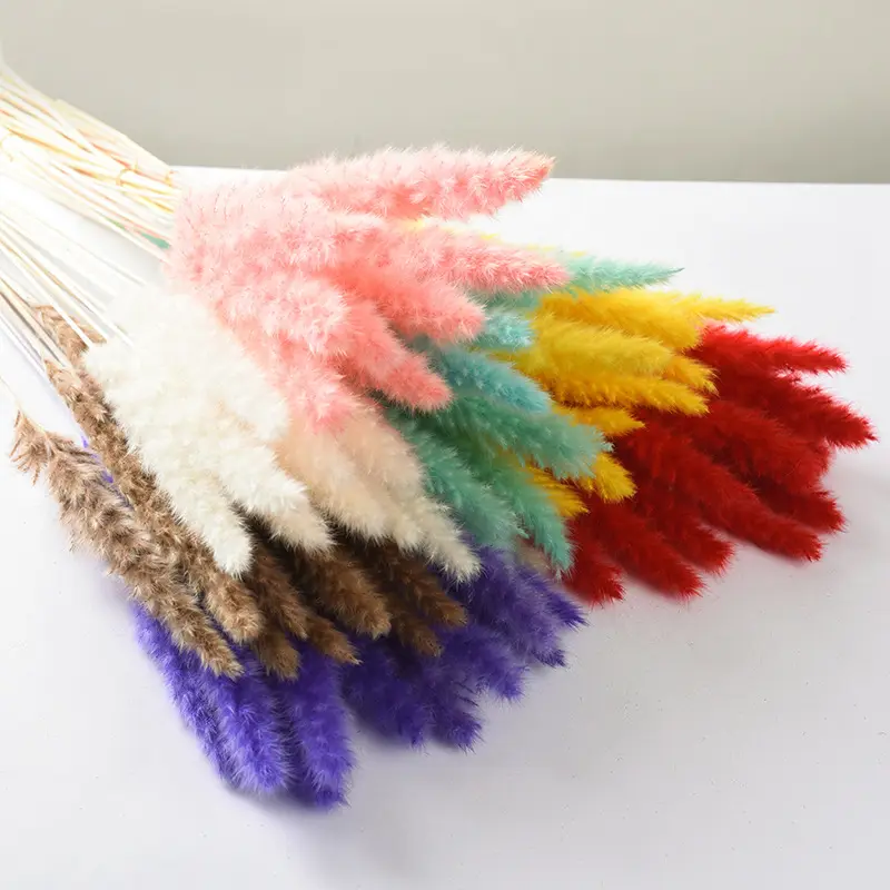 Amazon hot sale small dried pampas grass natural color 10pcs/bunch artificial flowers and plants for home wedding decor