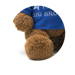 New Cartoon Animal Plush <strong>Toys</strong> Bear Stuffed Dolls - Product Image 5