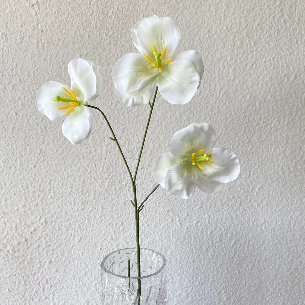 White-green 3-headed tulip with flip-up petals