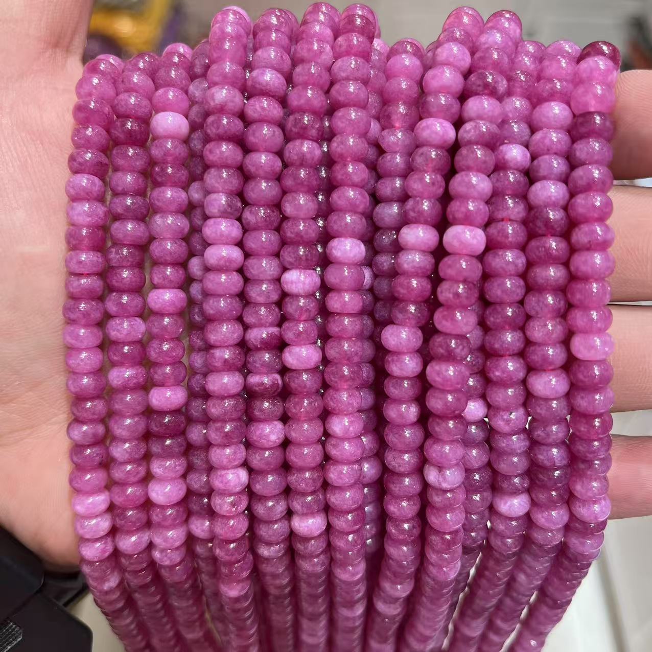 Rosa rosa