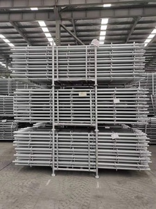 Armário de camada de construção, desbaste quente galvanizado pontegio andamios