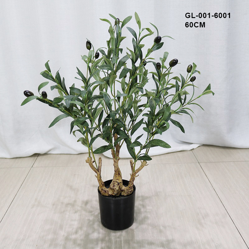 60 centimetri/olive albero
