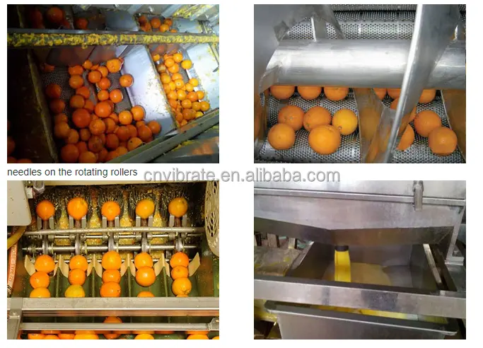 VBJX 에센셜 감귤류 오렌지 오일 추출 기계 레몬 오일 제거 추출 기계