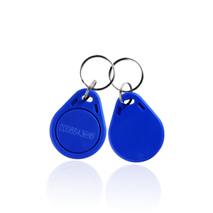ฟรีตัวอย่าง Rfid Key Fob 125Khz TK4100 64bit แท็กสมาร์ทการ์ด Rfid พวงกุญแจเลเซอร์ UID หมายเลขสําหรับการควบคุมการเข้าถึง - Product Image 1