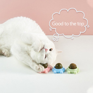 Juguete interactivo ecológico de plástico Catnip Snack Lollipop Wall Ball Cat con menta para gatos - Product Image 1