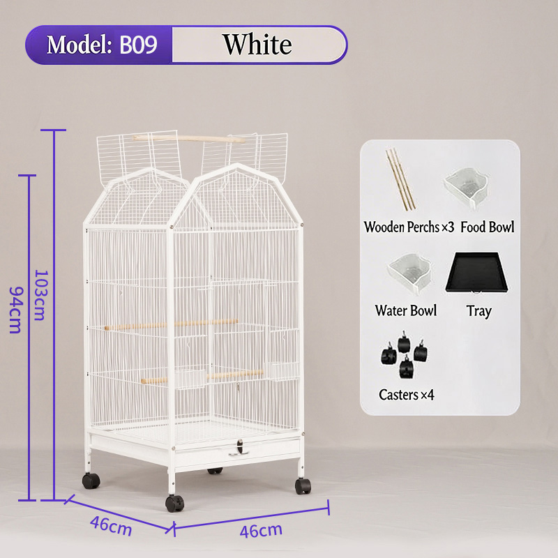 White-B09