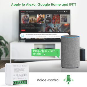Tuya Doodleミニwifiスマートスイッチ音声リモートコントロールタイミング共有デュアルコントロールスイッチ - Product Image 4