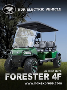 Satılık toptan Off Road HDK evrim fiyat Buggy E scooter ATV 48V elektrikli Golf arabaları