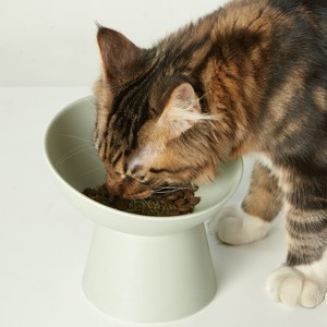 UFBemo-hierba gatera orgánica fresca para gatos, juguetes a granel - Product Image 5