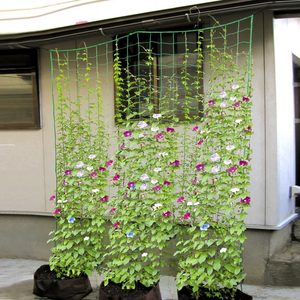 トレリスネットpp登山植物をサポートネットキュウリネット - Product Image 2