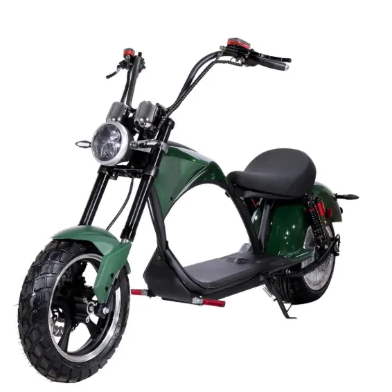 Scooter elettrico A due persona batteria Al Litio adulti mobility motociclo elettrico