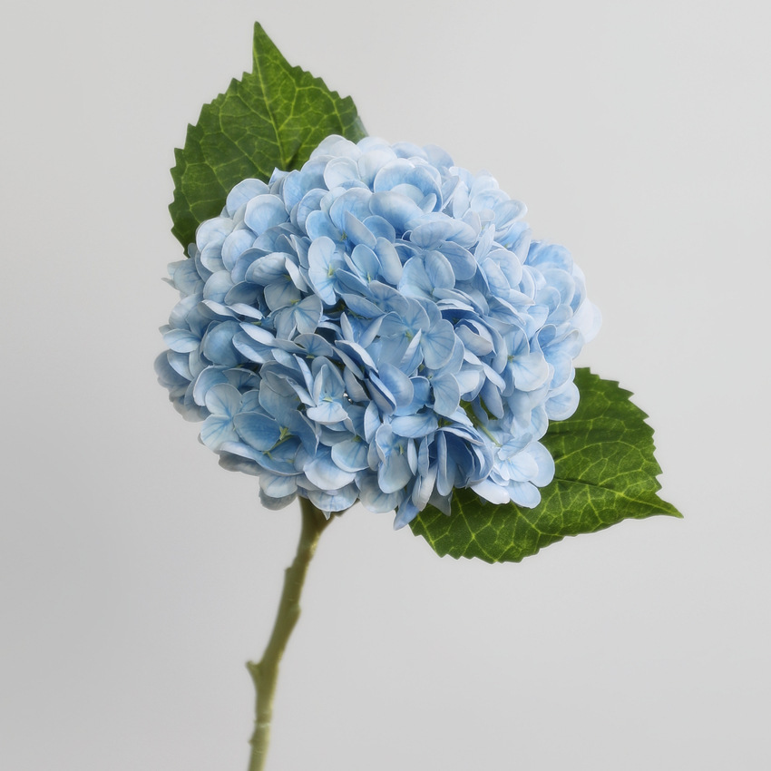 Blu-chiaro
