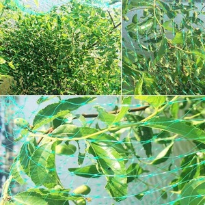ตาข่ายป้องกันนกตาข่ายพลาสติกสำหรับสวน,ตาข่าย HDPE บริสุทธิ์100% สำหรับล่าสัตว์ - Product Image 2