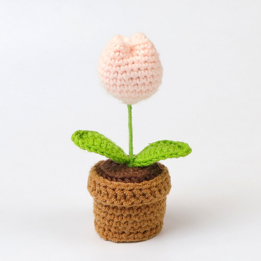 Couleur de peau - plante en pot tulipe