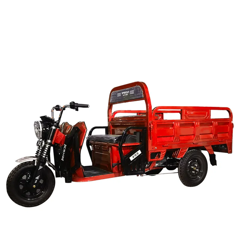 Gros pneu adulte tricycle électrique à 3 roues cargo trois roues gros pneu vélo 60 volts tricycle gros