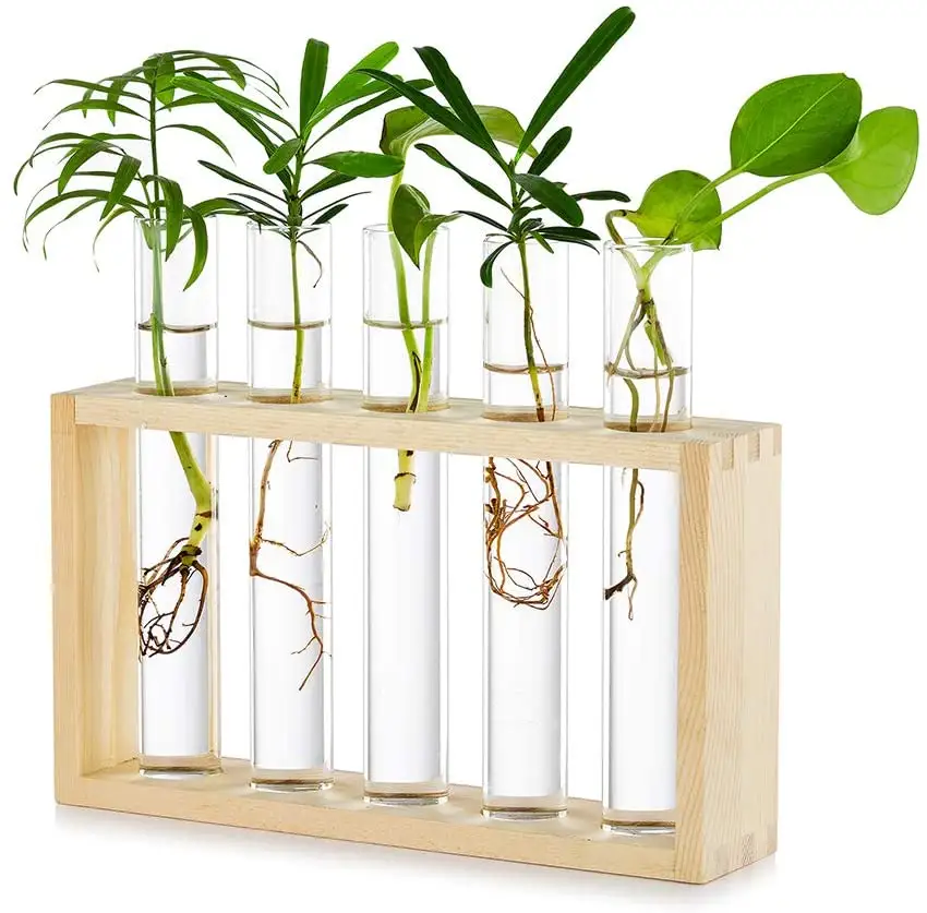 Home Tisch dekoration Wandbehang Glas Pflanzer Terrarium Moderne Wand montage 5 Reagenzglas Blumen knospe Vase aus Holz