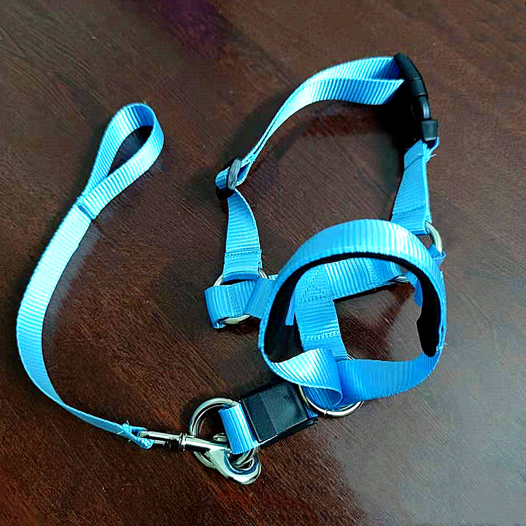 Bleu clair