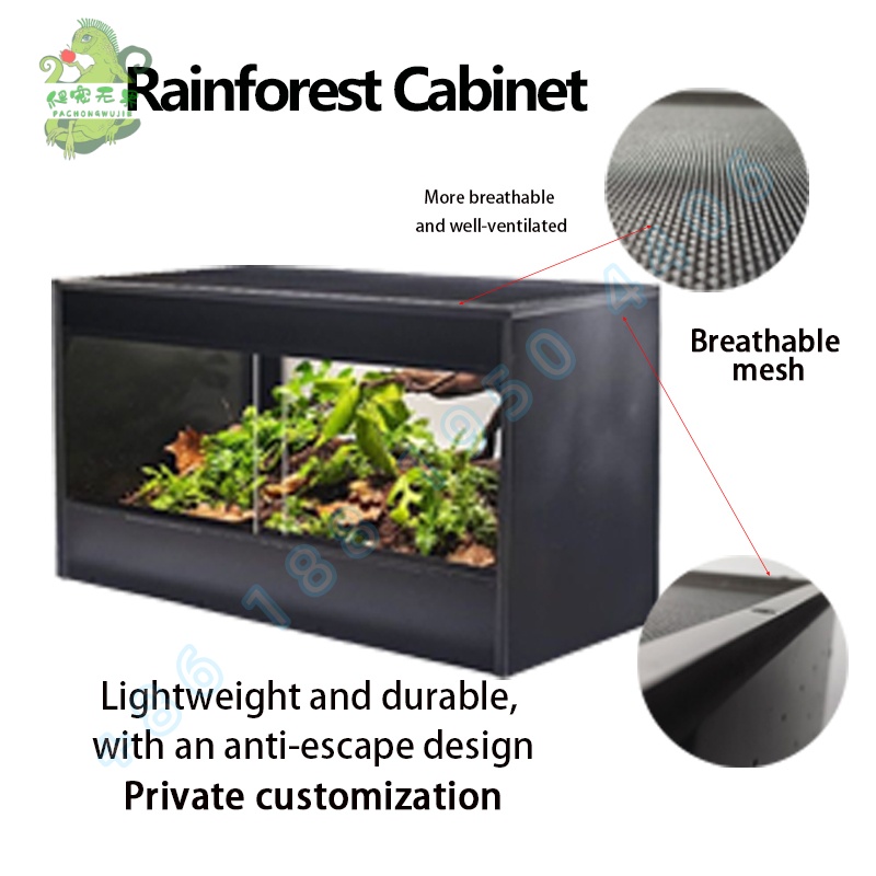 Rainforest Cabinet