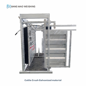 Bán trực tiếp từ nhà máy, máng ép gia súc mạ kẽm mới kèm cân gia súc - Product Image 3