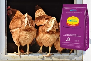 Mufeng 2% 層濃縮飼料/プレミックスフィードレイヤー使用飼料/有機高タンパク質鶏肉および鶏層フィードプレミックス - Product Image 2
