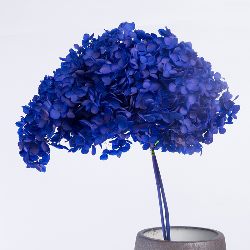 Bleu saphir