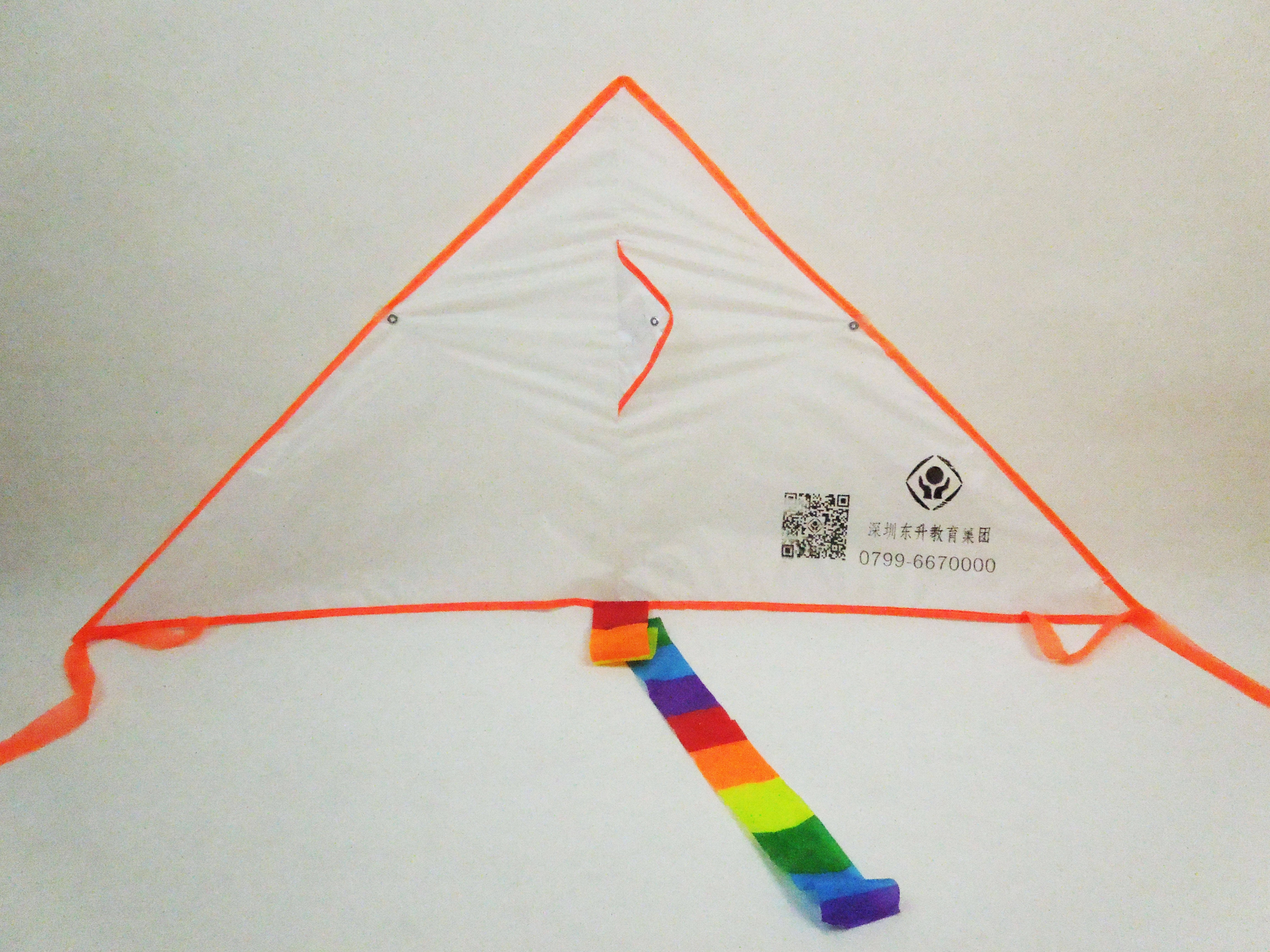 Blank diy kite Delta