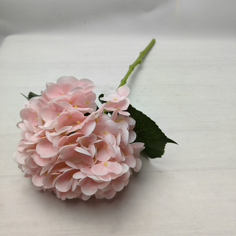 Rose pâle