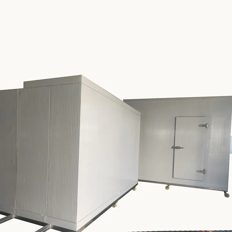 Almacenamiento en congelador industrial de cámara frigorífica para mariscos, pescado y camarones, pollo y carne, almacenamiento congelado