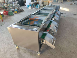 Automatic Fruit <strong>Classifier</strong> Machine Fresh Blueberry Sorting Machine Blueberry Grading Sorting Machine - Product Image 2